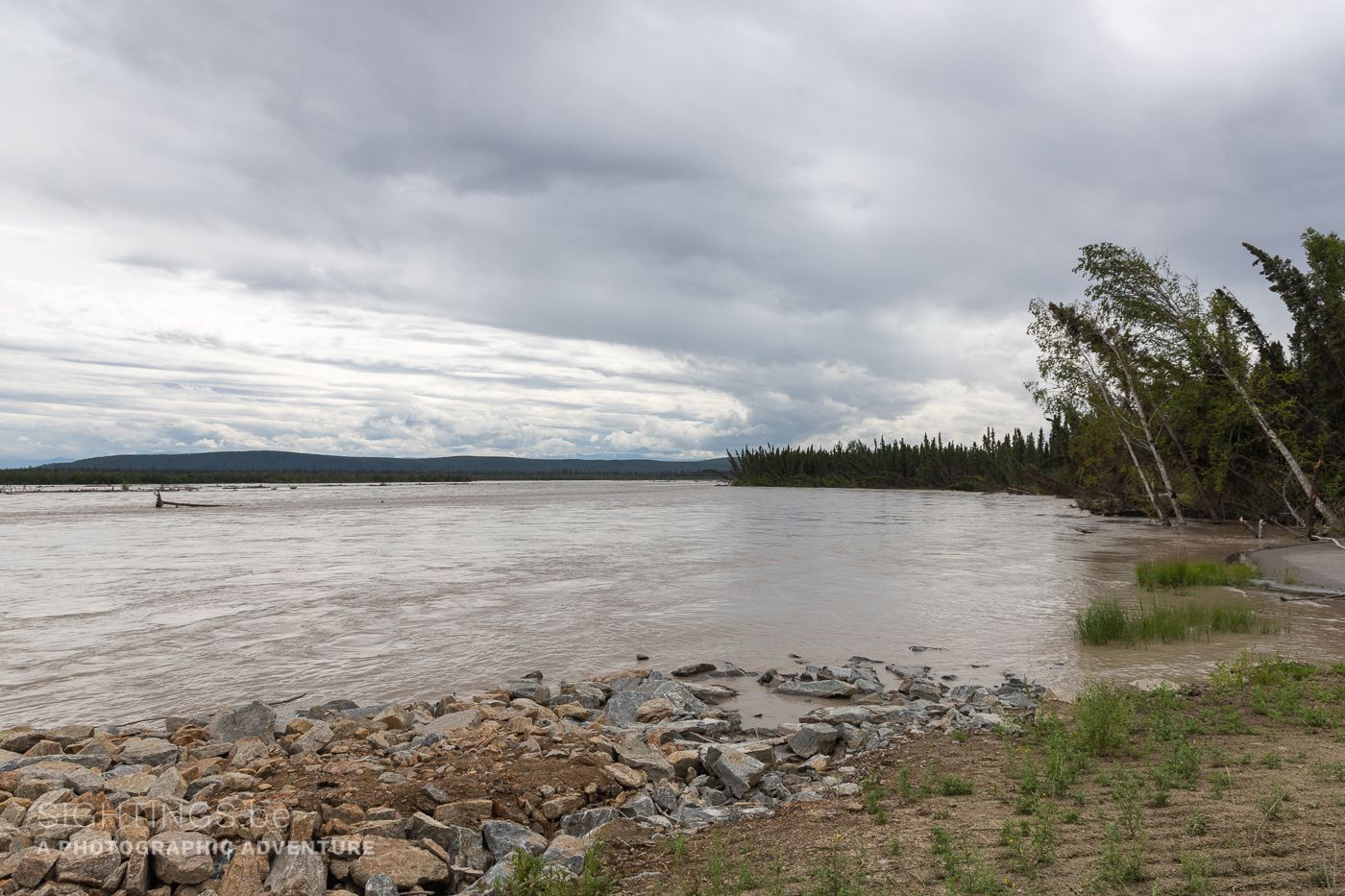 Tanana river along the Richardson highway