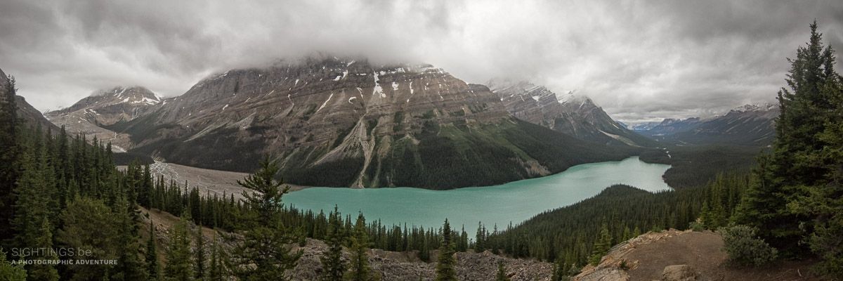 Peyto Lake along the Icefields Parkway
