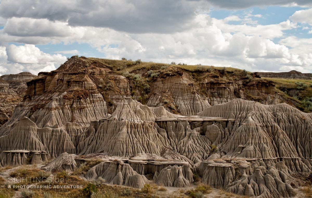 Badlands in the Dinosaur Provincial Park