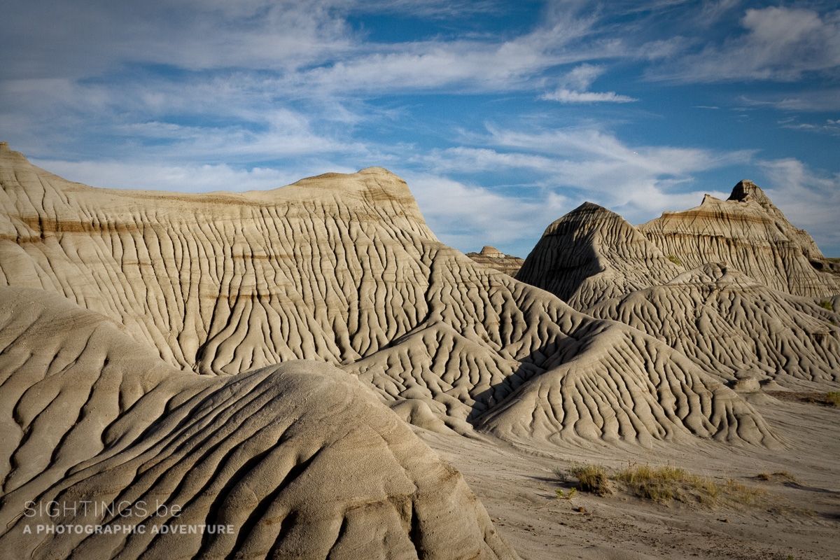 Badlands in the Dinosaur Provincial Park