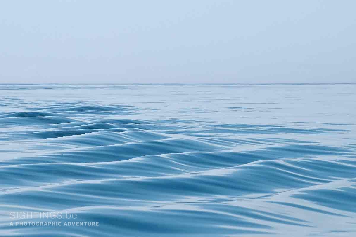 Waves near Brier Island
