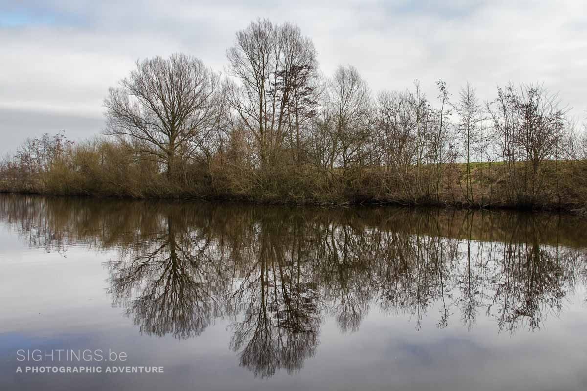 Leie river near Gottem