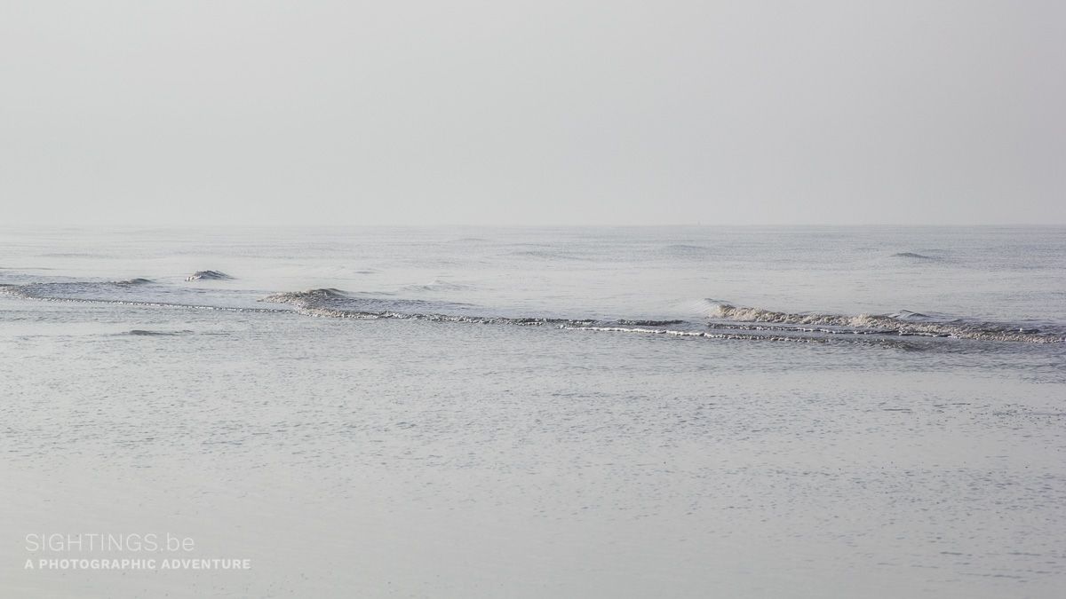 North Sea on a winter day