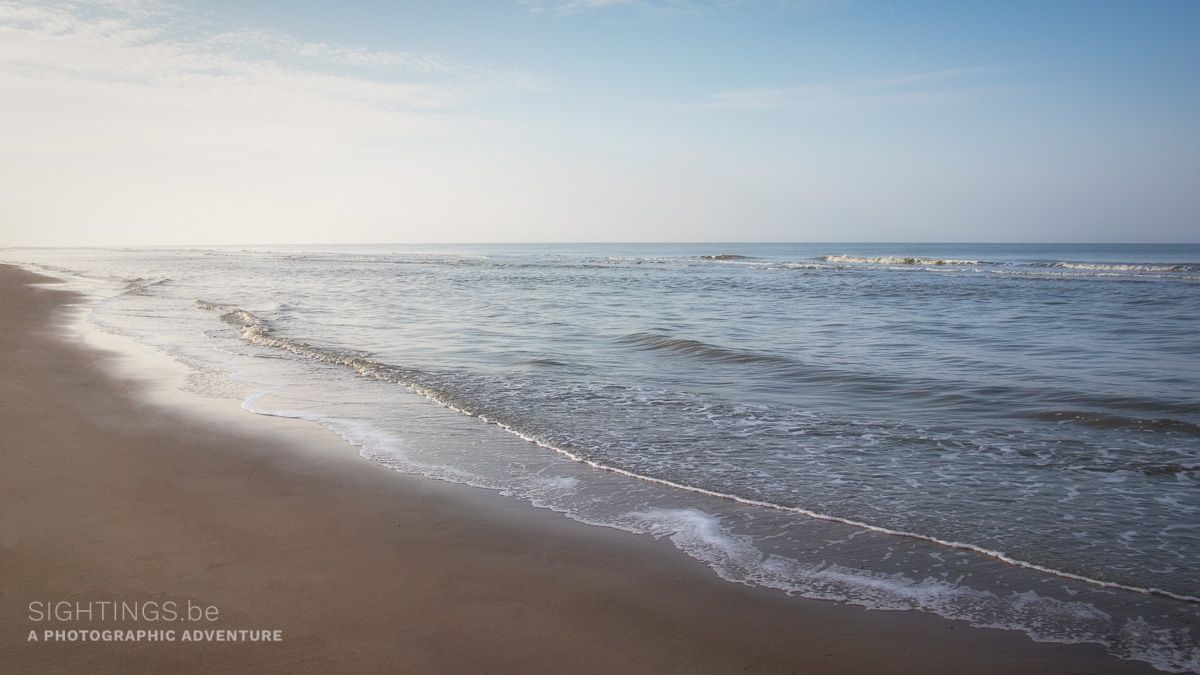 North Sea coast