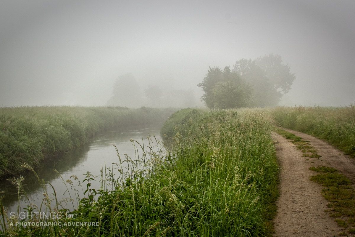 Dijle river in the 'Doode Beemde' nature reserve at dawn