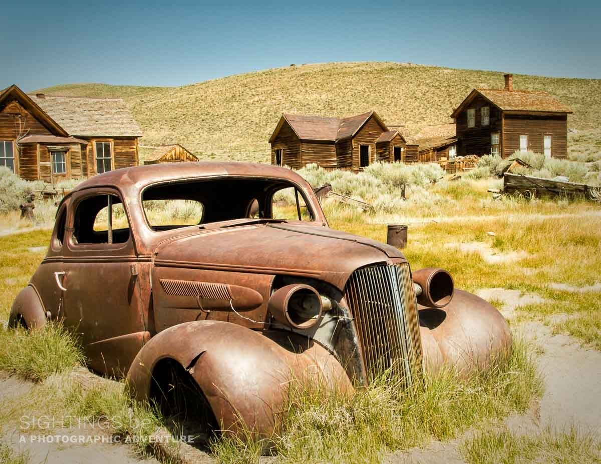 Bodie