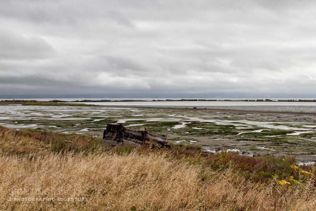 Coyote Point Recreation Area, San Mateo