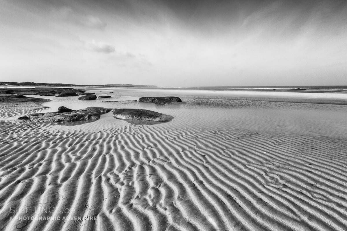 Low tide
