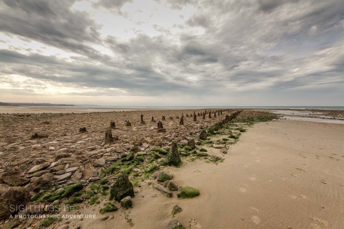 Low tide