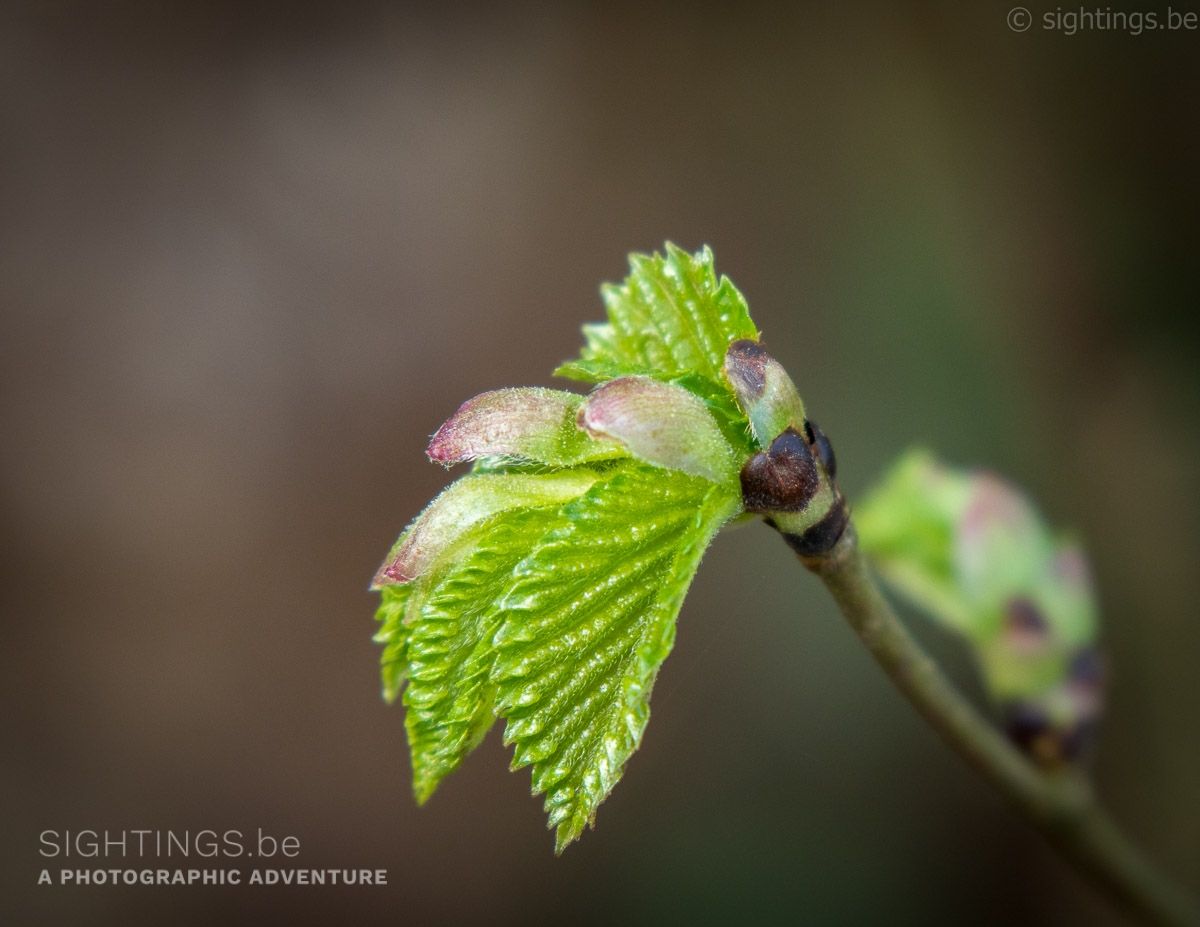 Spring is in the air