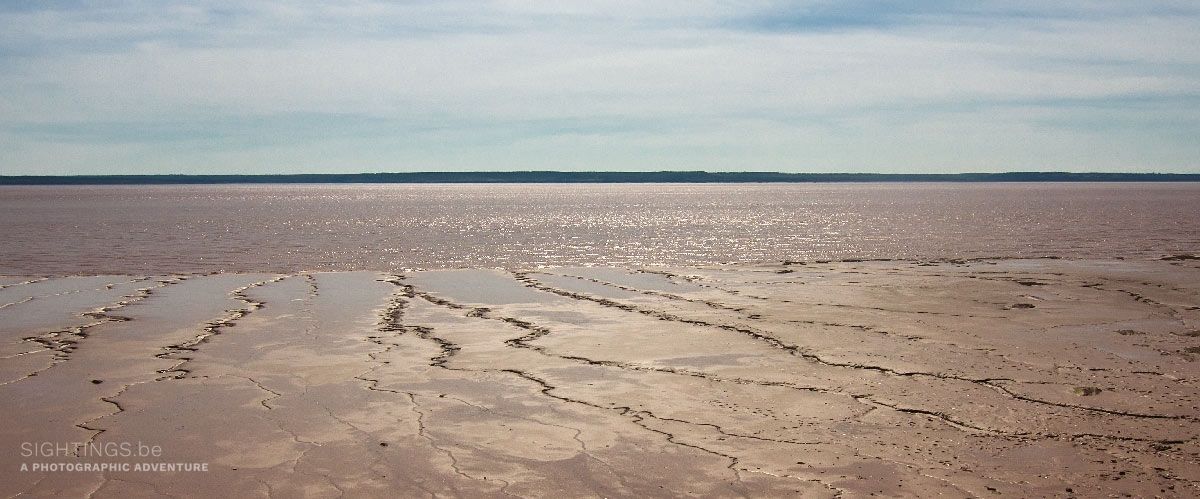 Chocolate River near Hopewell Rocks (New Brunswick)