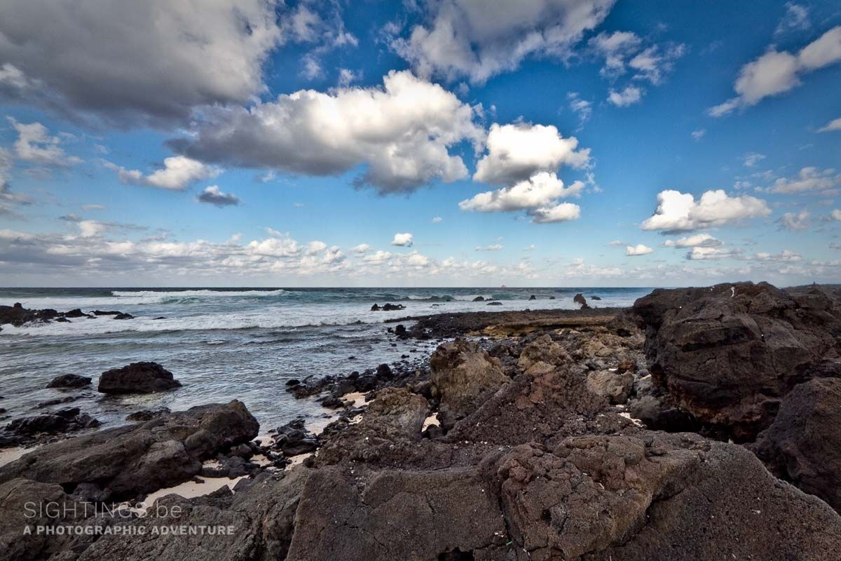 Punta de Palo