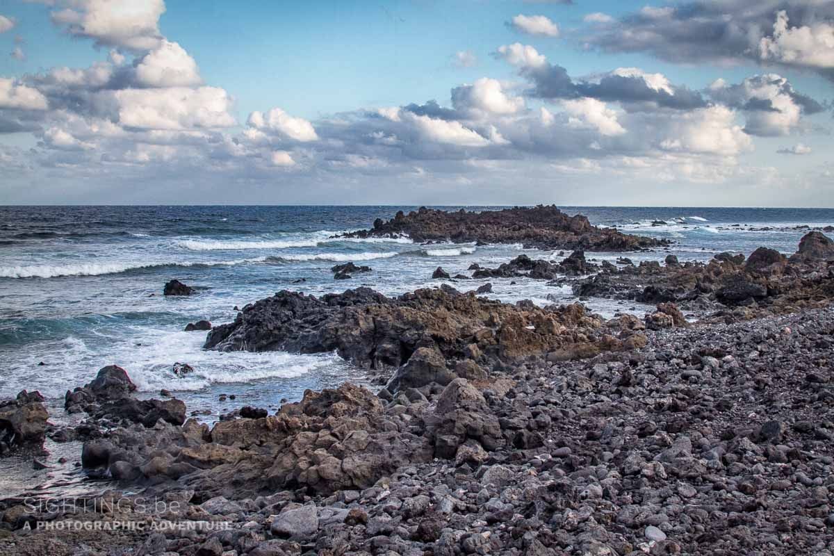 Punta Prieta