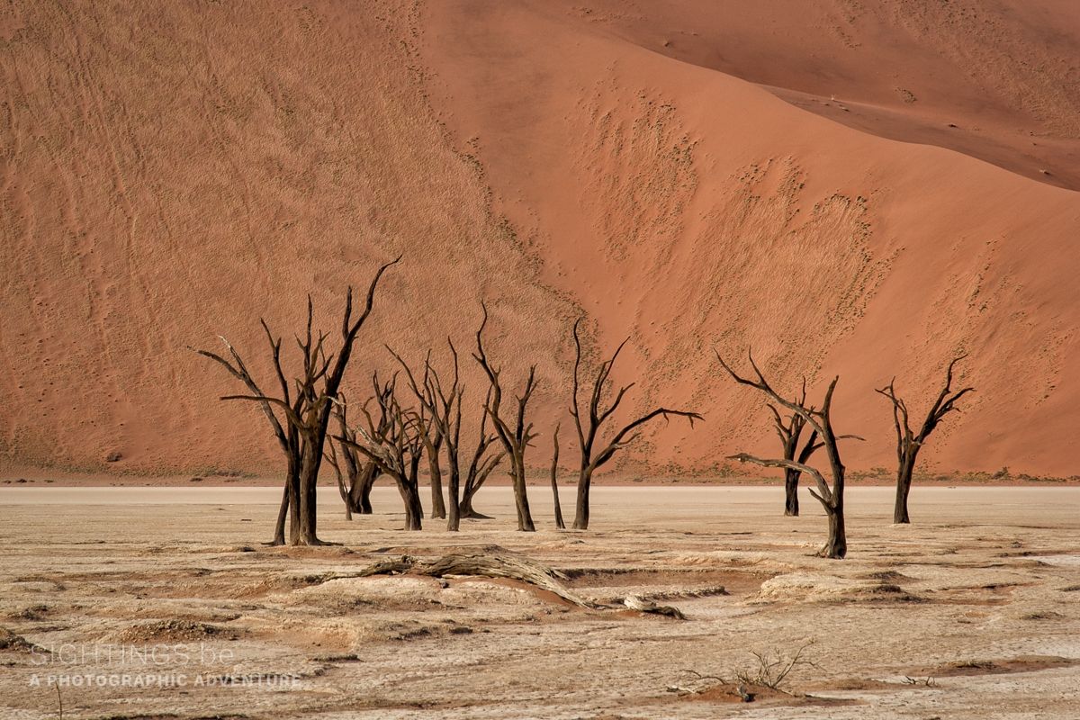 Deadvlei