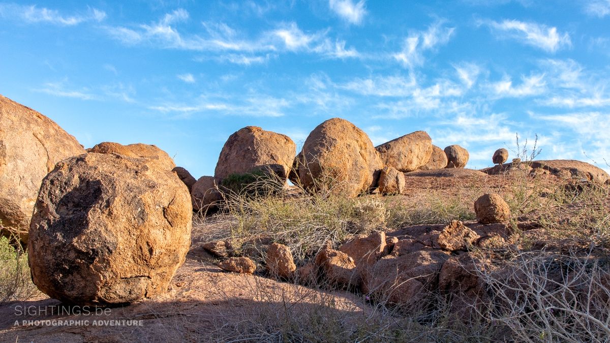 Mowani landscape