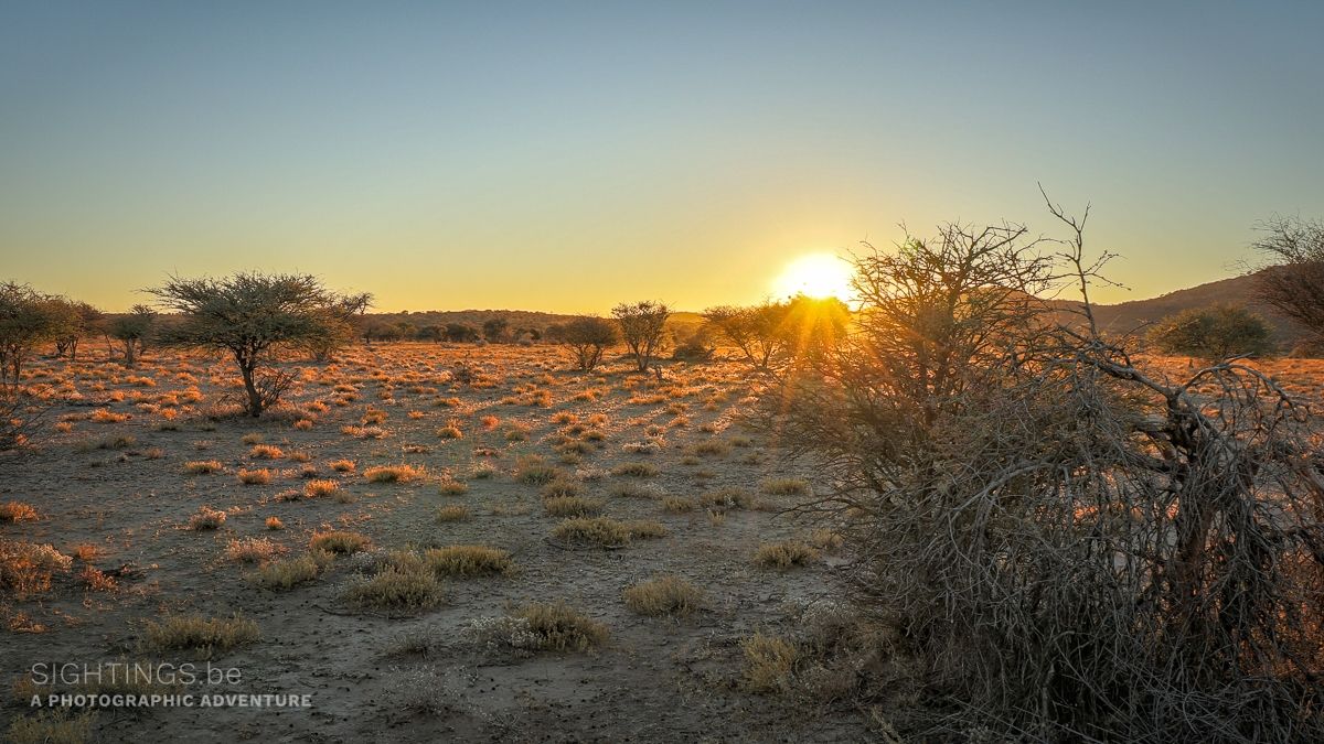 Sunrise at Mount Etjo