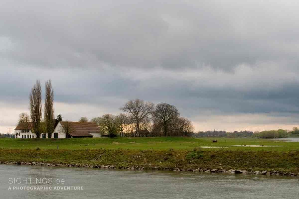 Meuse river near Thorn