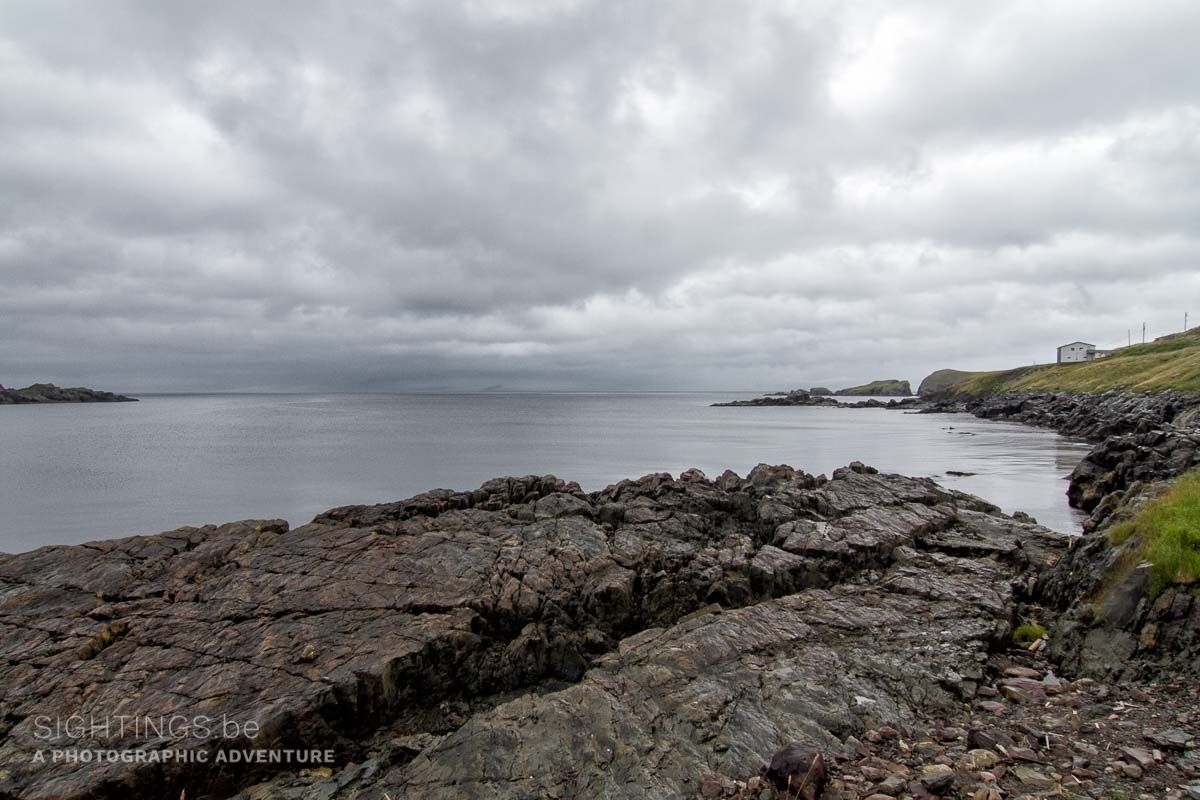 Grates Cove, Avalon