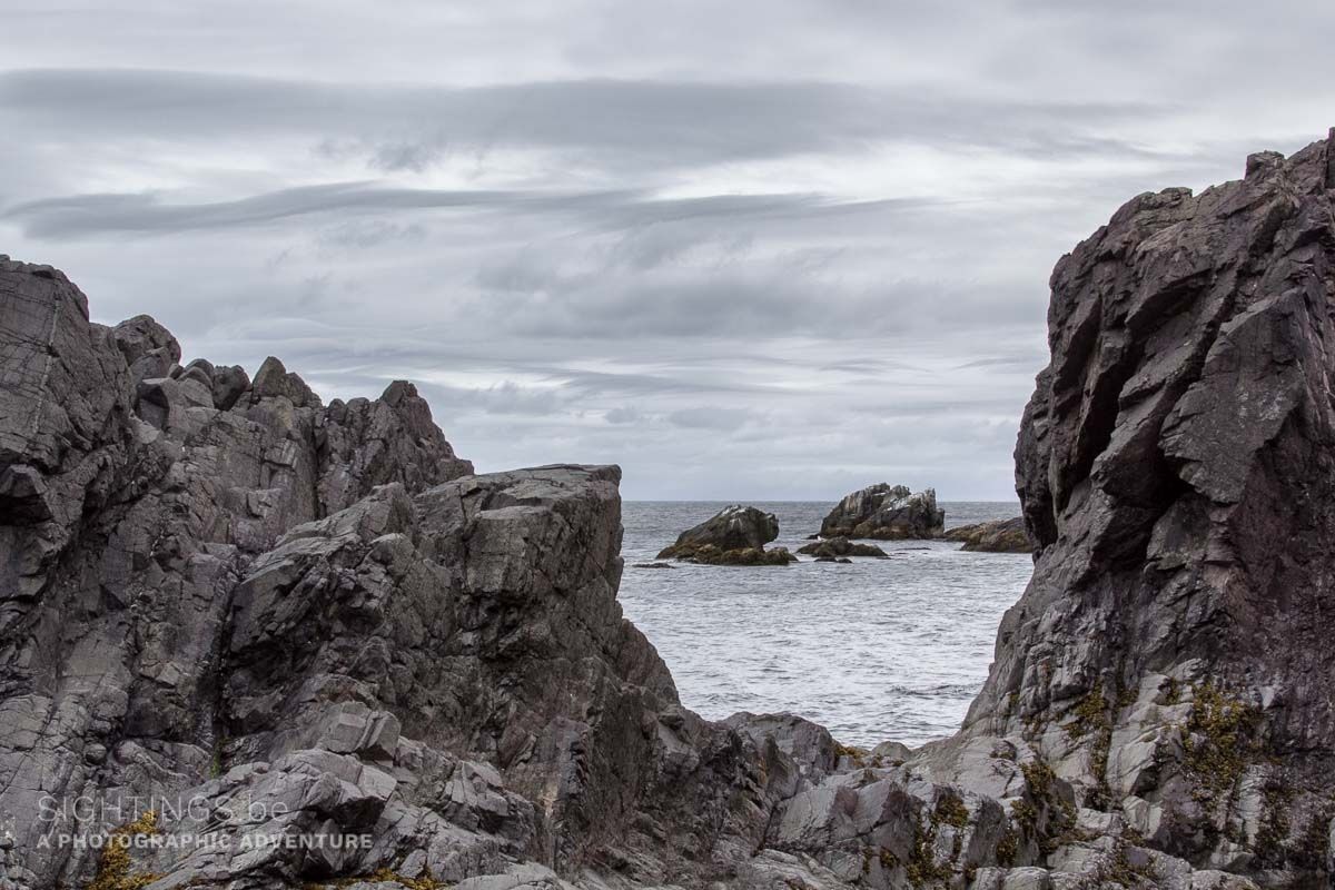 Fort Point, Bonavista Peninsula