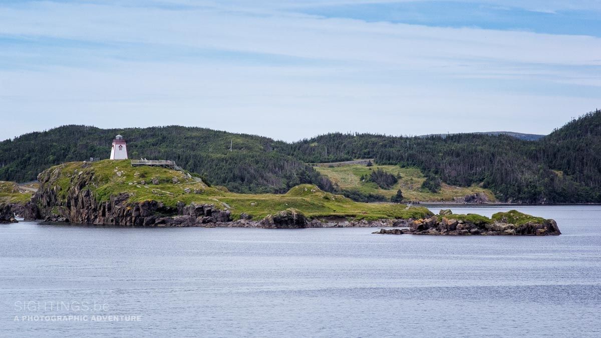 Bonavista Peninsula, Trinity East