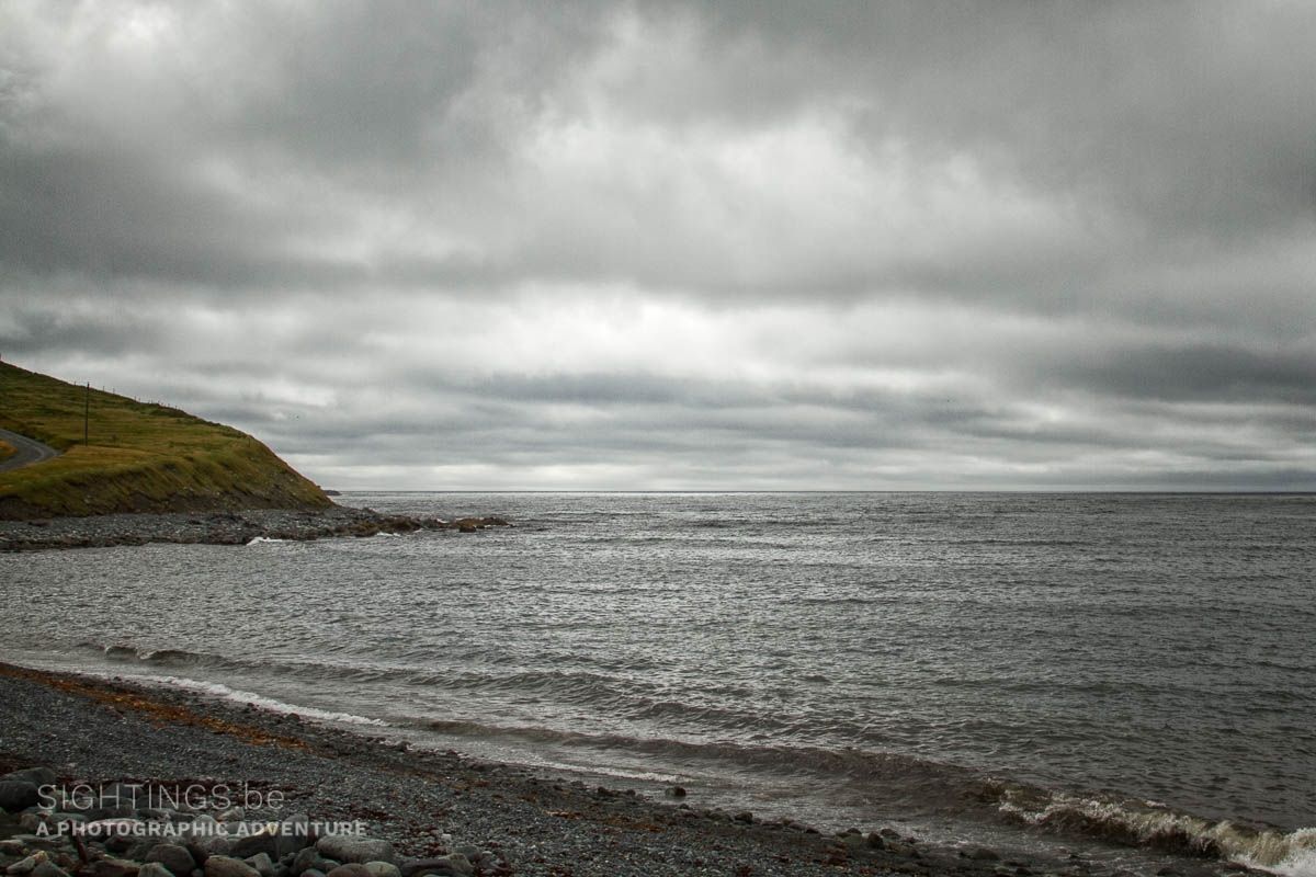 Ferryland, Avalon