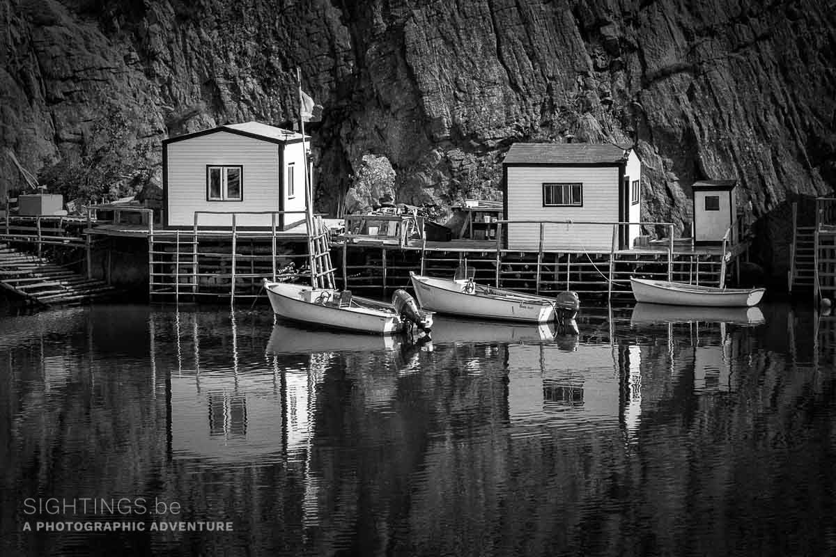 Quidi Vidi lake, Avalon