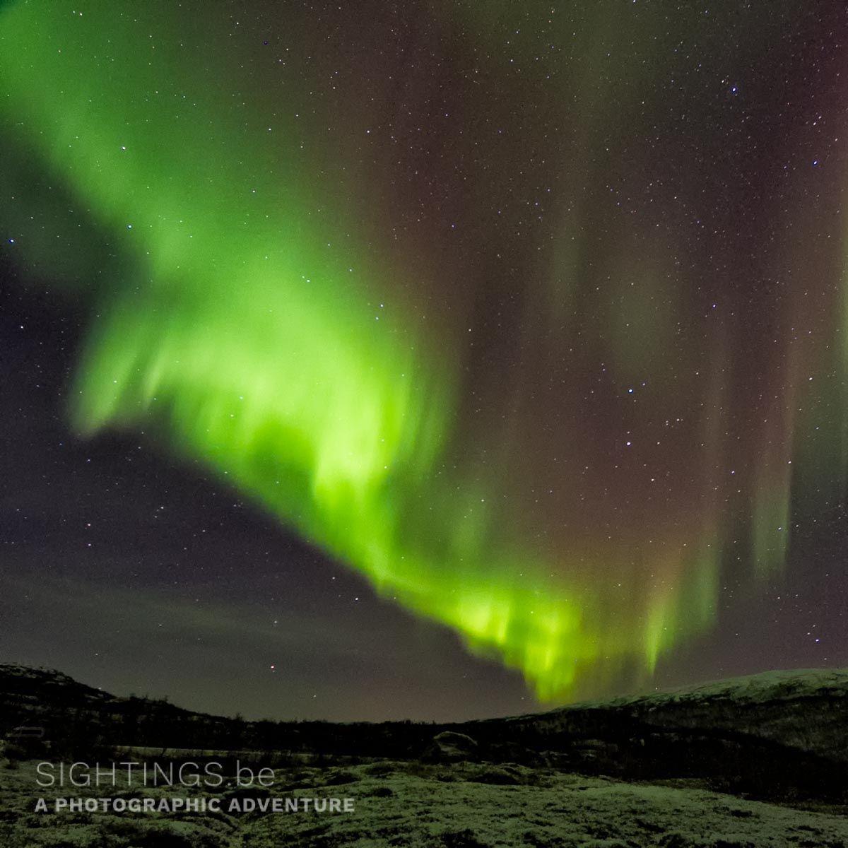 Northern lights