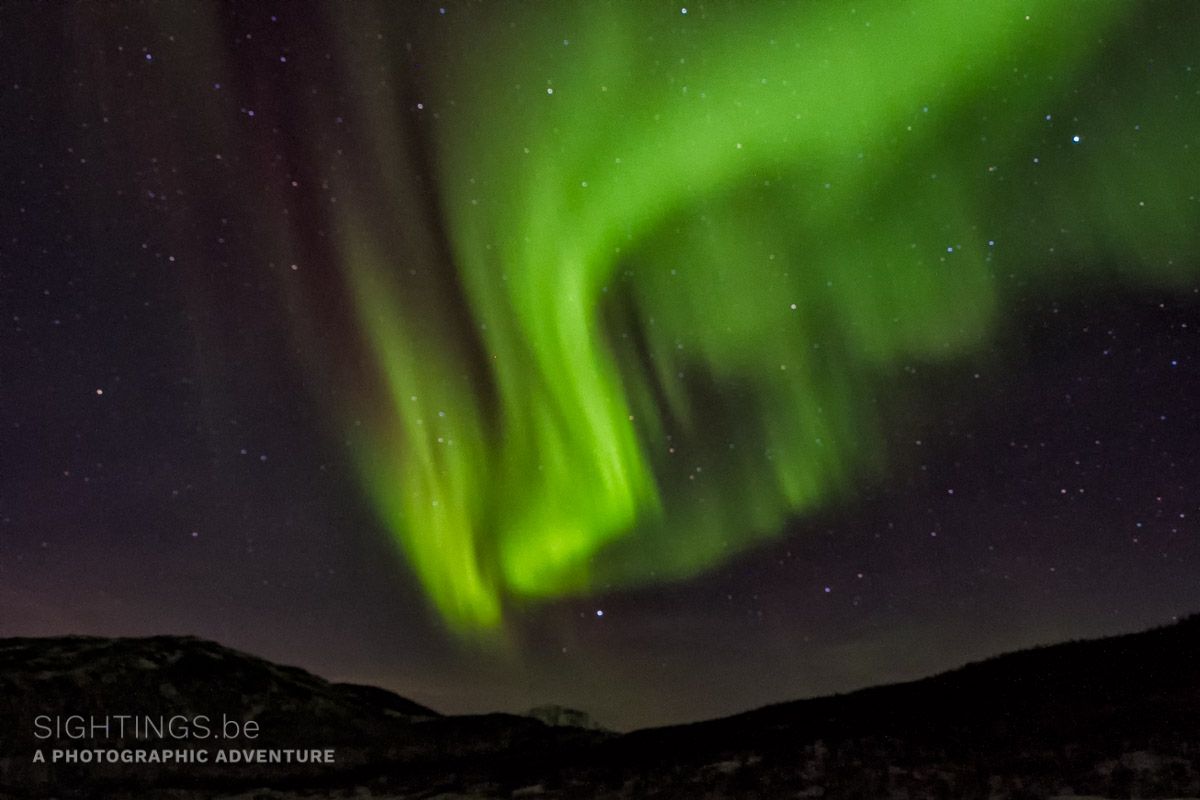 Northern lights