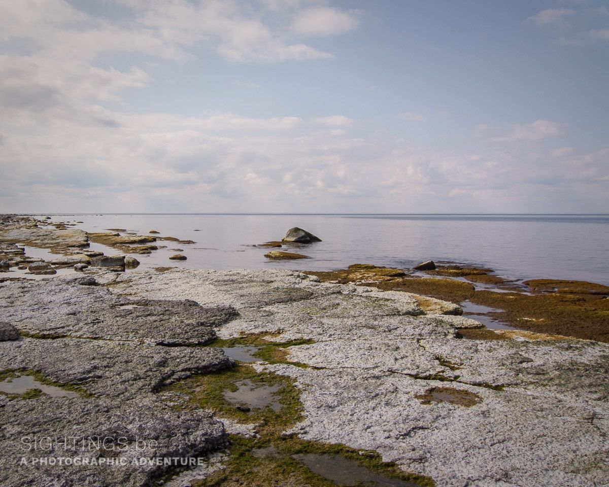 Coast near Holmvägen