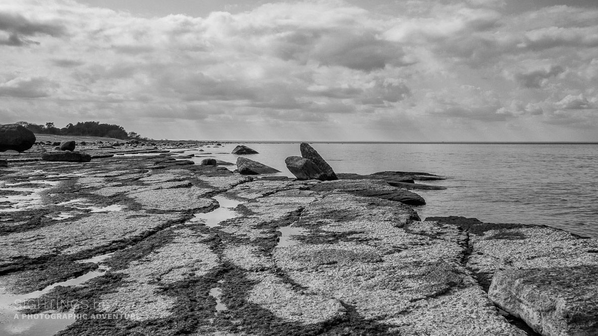 Coast near Holmvägen