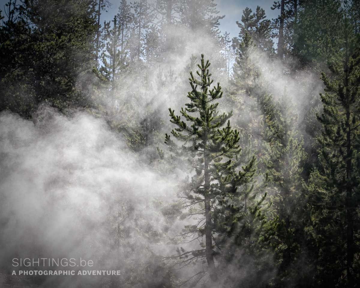 Norris Geyser Bassin, Yellowstone