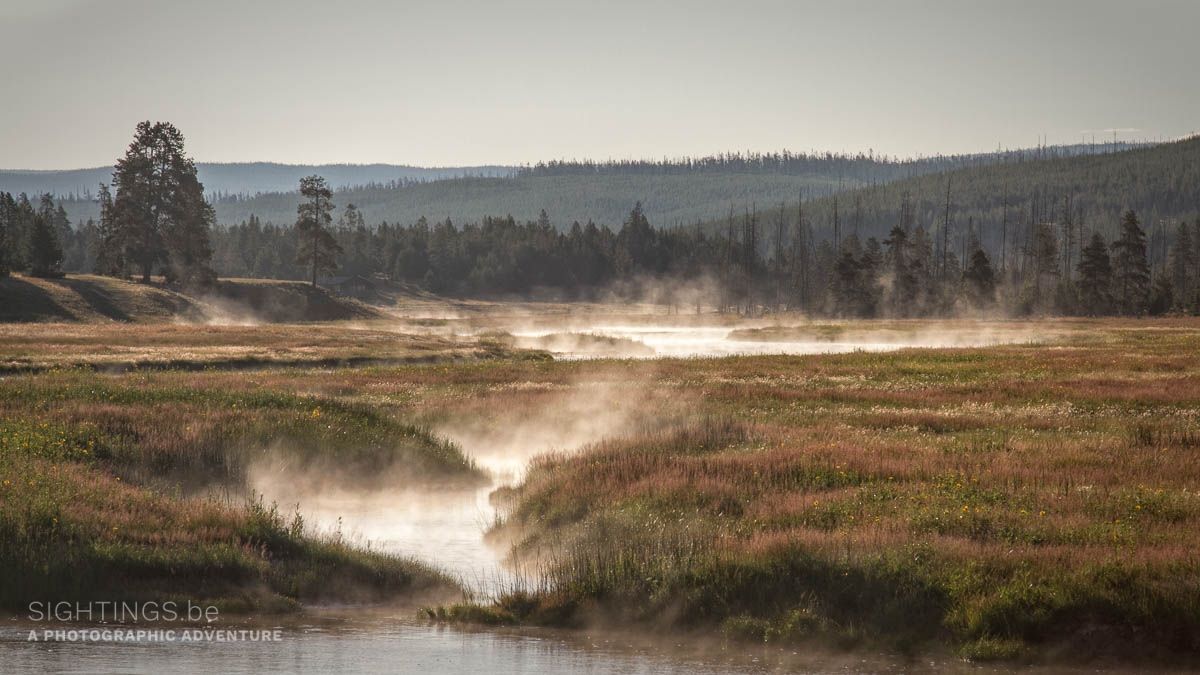 Dawn near Madison River, Yellowstone