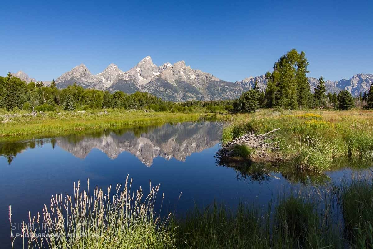 Schwabacher Landing, Grand Teton National Park